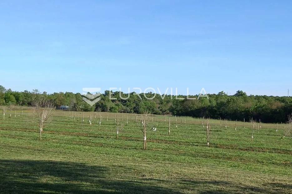 istra, rovinj, poljoprivredno zemljište 11818m2 s upisanim objektom od 30m2 - slika 6