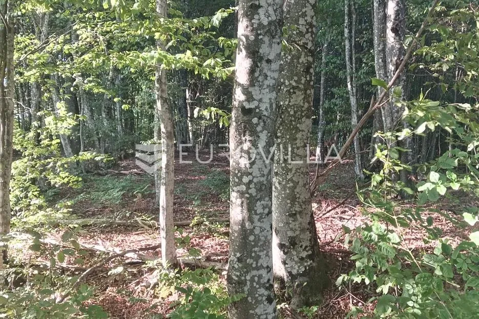 karlovac, tušilović, zemljište ukupne površine 56000 m2 - slika 6