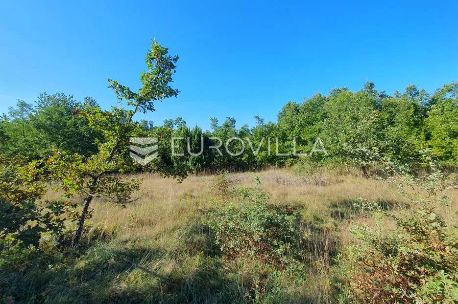 istra, baderna, poljoprivredno zemljište 12.120m2 - slika 5