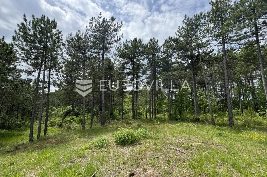 istra, grašćišće, jedinstveno građevinsko zemljište 2000 m² okruženo stoljetnom šumom 36789 m² - slika 20
