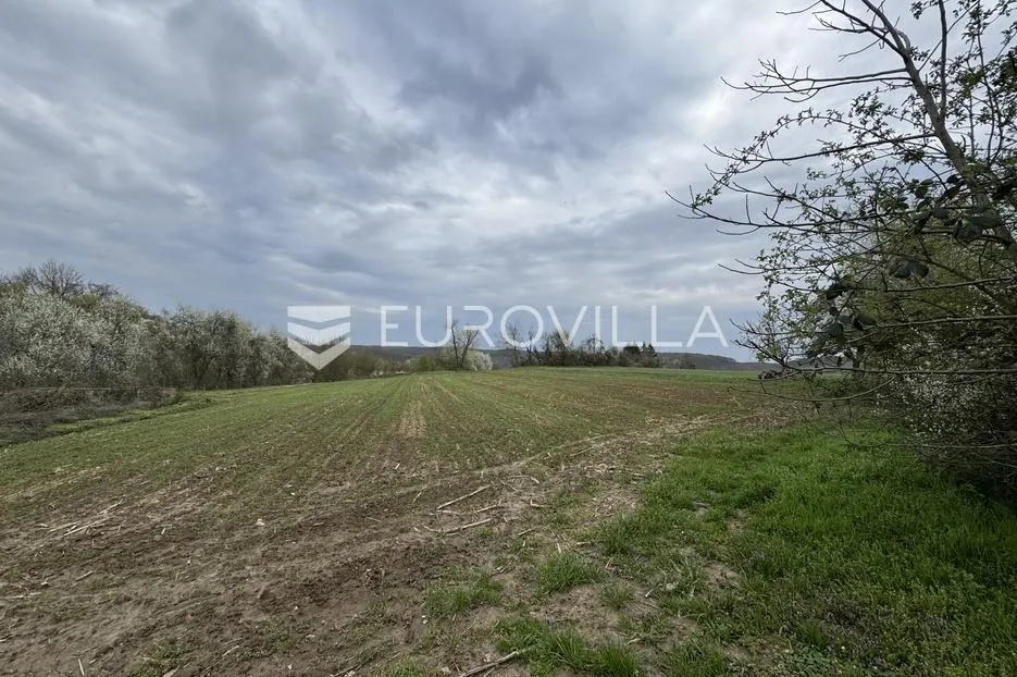 paučje, vikendica 95 m² s velikim potencijalom na zemljištu od 2622 m² - slika 10