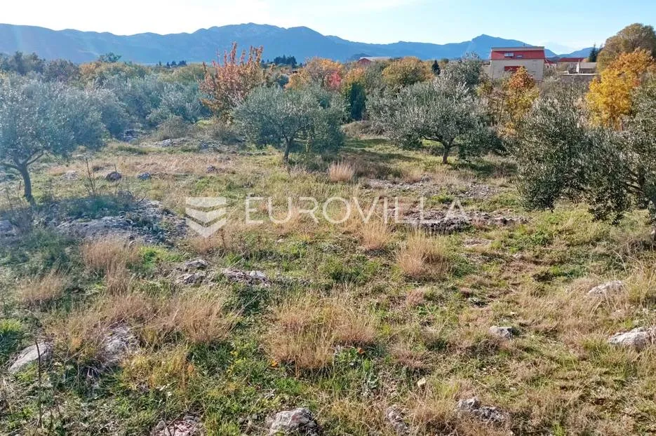 šestanovac, atraktivna parcela uz put, 4200 m², mogućnost obročne otplate - slika 4