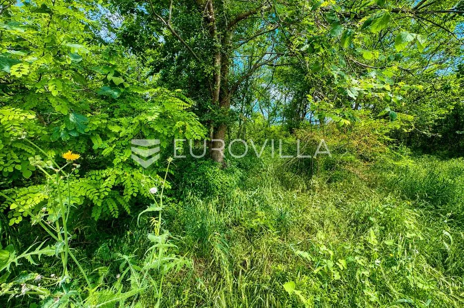 zadar, privlaka, građevinsko zemljište 892,08 m², 300 m od mora - slika 3