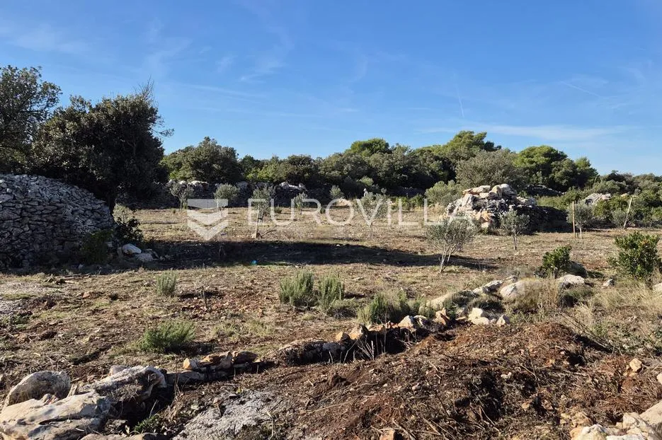 šolta, gornje selo, poljoprivredno zemljište s maslinikom površine 2.653 m² - slika 2