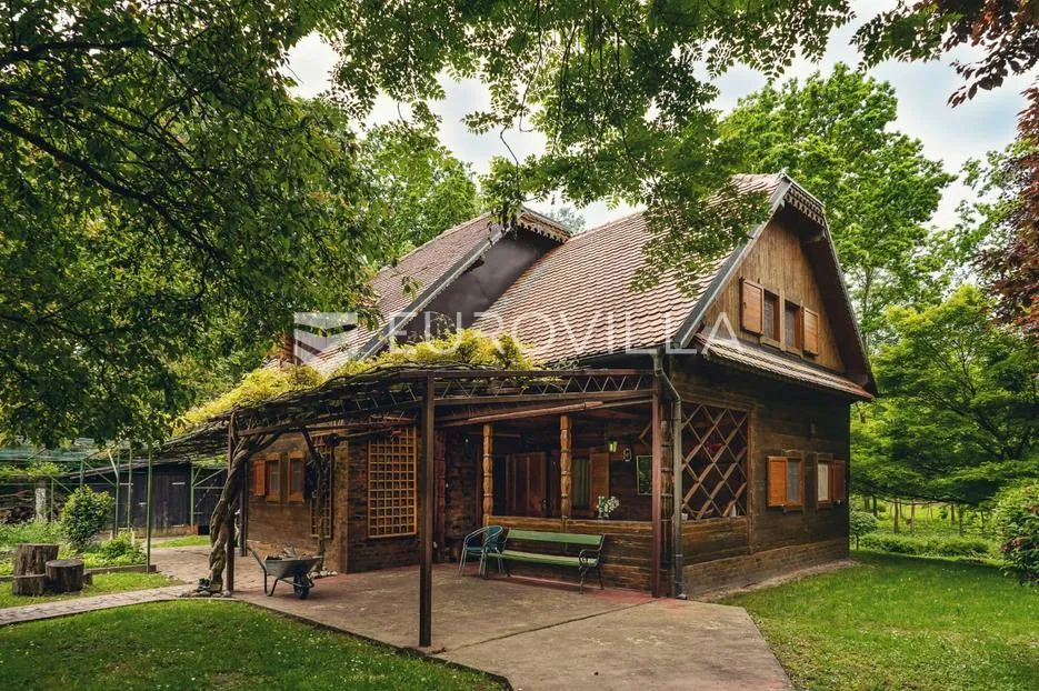lonjsko polje, gušće, šarmantna vikendica na zemljištu površine 25000 m² - slika 6