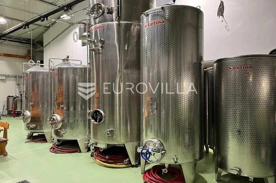 kneževi vinogradi, zmajevac, opremljena i uhodana vinarija - slika 13