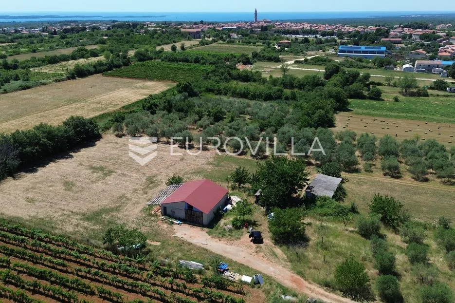 Istra, Vodnjan, gospodarska zgrada s pomoćnim objektom na prostranom zemljištu