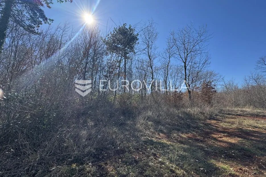 istra, barban, građevinsko i poljoprivredno zemljište 3260m2 u mirnom djelu - slika 5