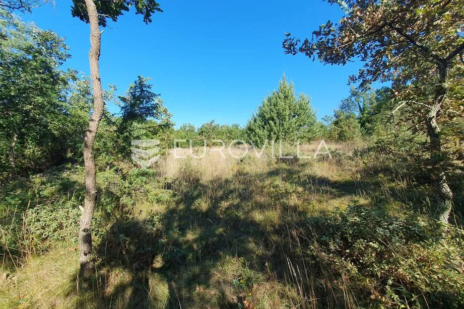 istra, baderna, poljoprivredno zemljište 12.120m2 - slika 9