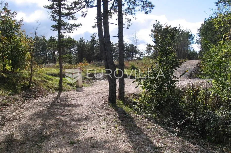 istra, grašćišće, jedinstveno građevinsko zemljište 2000 m² okruženo stoljetnom šumom 36789 m² - slika 6