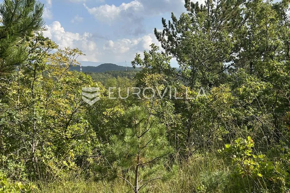 istra, cerovlje - poljoprivredno zemljište pogodno za maslinik ili vinograd - slika 5