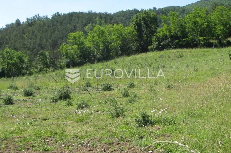 istra, buzet, građevinsko zemljište s idejnim projektom - slika 8