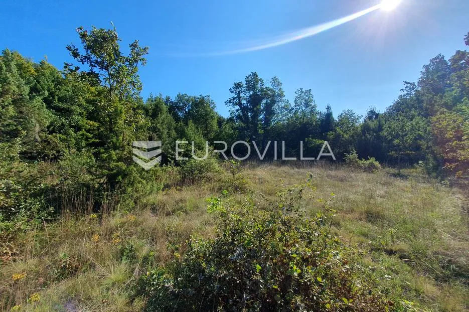 istra, baderna, poljoprivredno zemljište 12.120m2 - slika 6