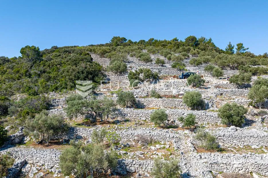 otok korčula, blato, poljoprivredno zemljište s dvije ruševne kamene kućice. - slika 15