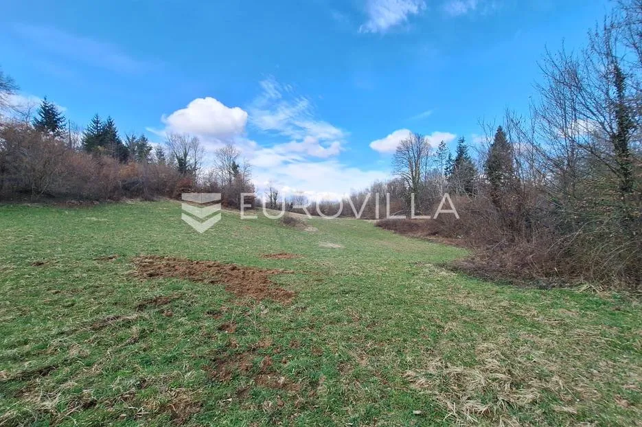 bosiljevo, zemljište 103000 m² s 2 objekta na mirnoj lokaciji - slika 2