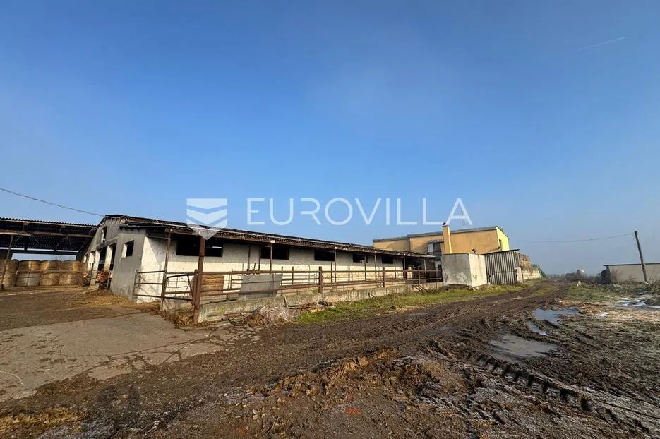 selci đakovački, govedarska farma s mogućnošću prenamijene, 11370 m² - slika 10