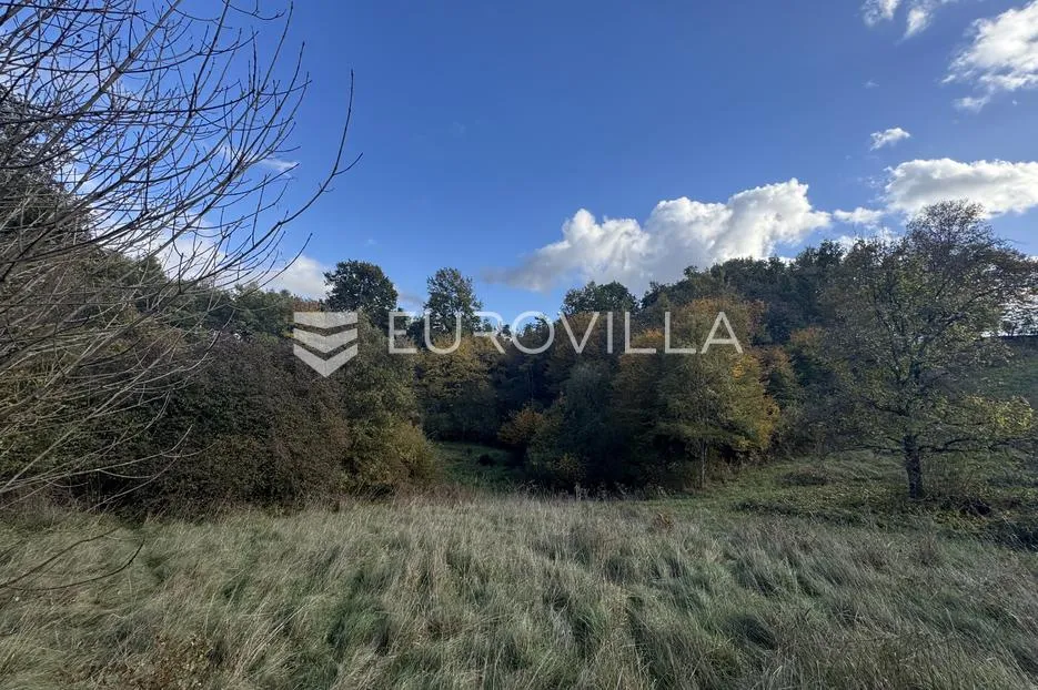 Istra, Heki, građevinsko zemljište 5999 m² u centru Istre - Heki, Pazin