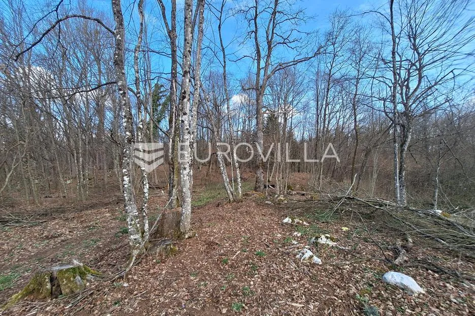 bosiljevo, zemljište 103000 m² s 2 objekta na mirnoj lokaciji - slika 6