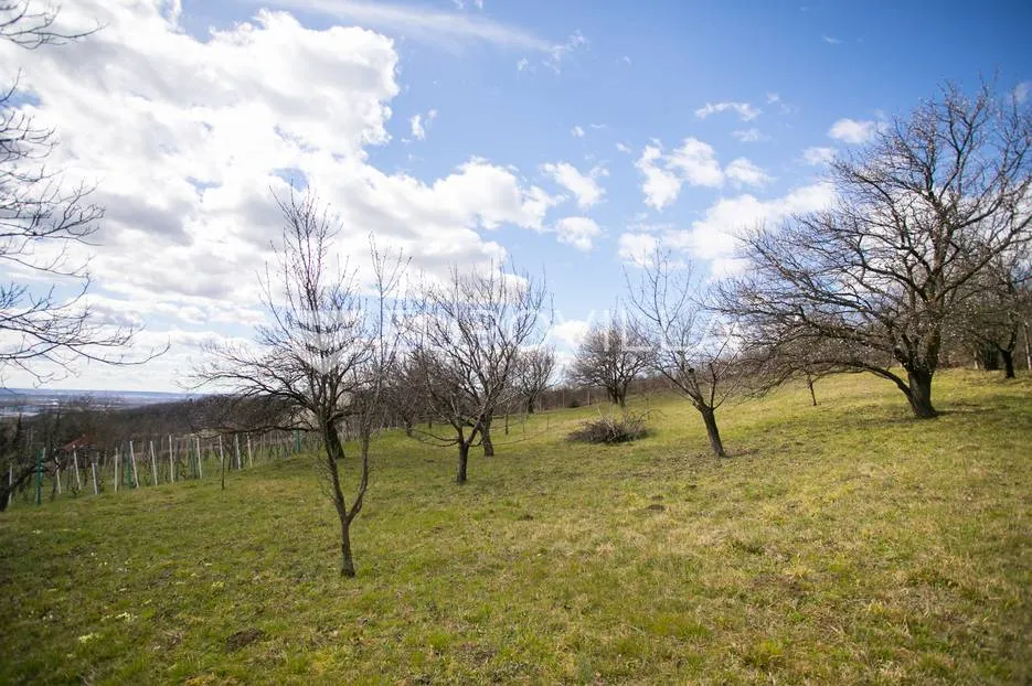 zagreb, borčec, građevinsko zemljište površine 1995 m² - slika 2