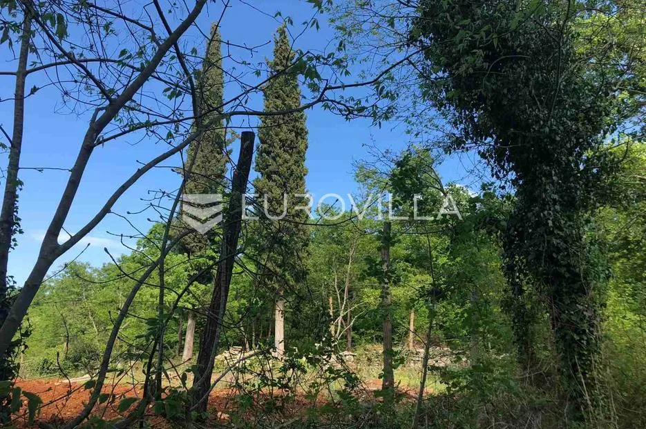 istra, sveti lovreč okolica, građevinsko 538m2 i poljoprivredno zemljište ukupne površine 48294m2 - slika 8