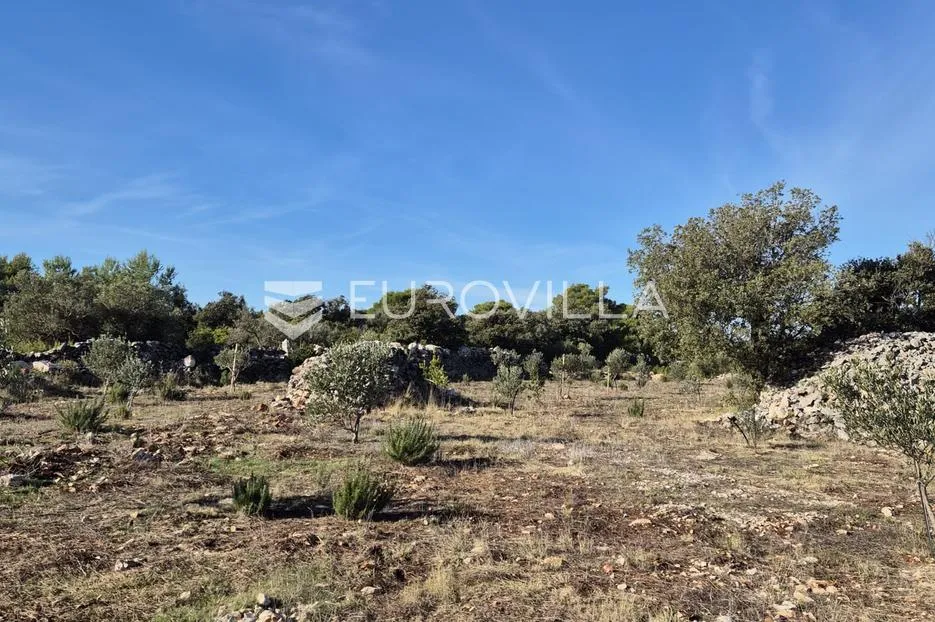 šolta, gornje selo, poljoprivredno zemljište s maslinikom površine 2.653 m² - slika 4