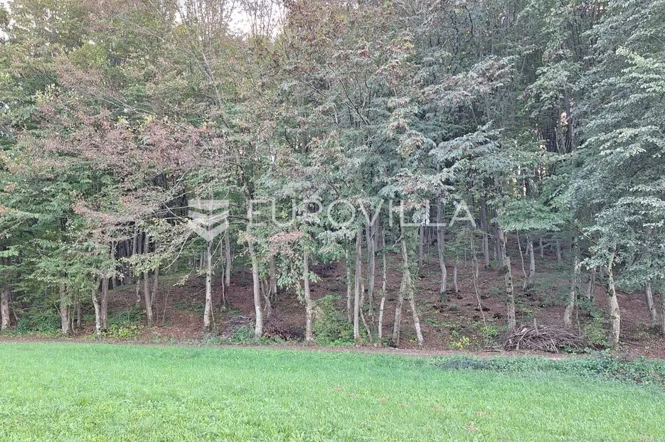 bosiljevo, poljoprivredno zemljište 12800 m² uz autocestu - slika 2