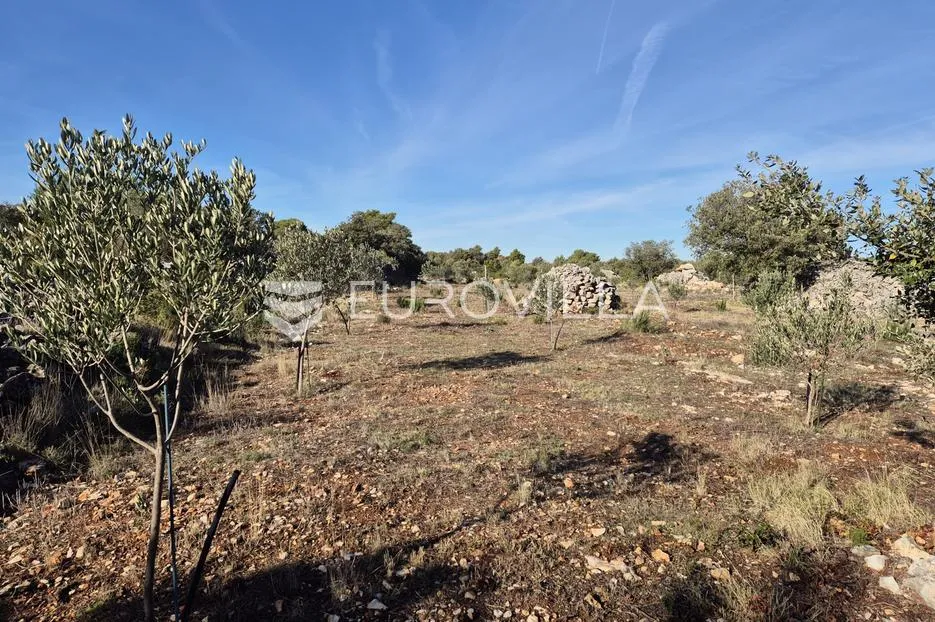 šolta, gornje selo, poljoprivredno zemljište s maslinikom površine 2.653 m² - slika 7