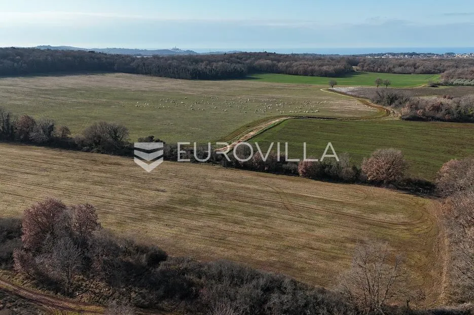 istra, poreč, poljoprivredno zemljište 14.824 m² - slika 4
