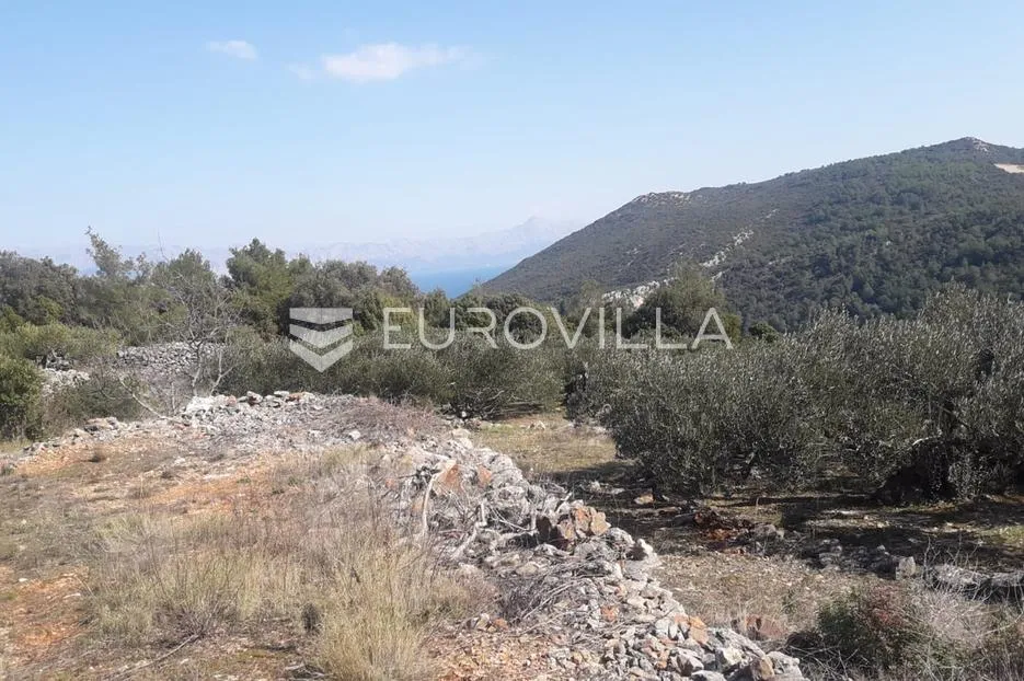 hvar, zastražišće, poljoprivredno zemljište, s pogledom na more - slika 2