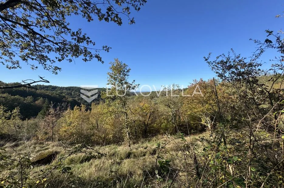 istra, grožnjan, građevinsko zemljište 1529m2 s idejnim projektom za gradnju vile s infinity bazenom - slika 16