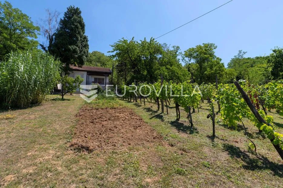 baranja, popovac, imanje s tri objekta, bazenom i 6ha zemlje proizvodnja - slika 7