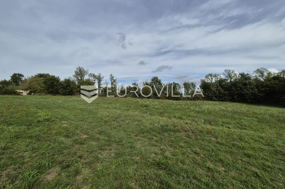 istra, rakotule, jedinstvena građevinska zemljišta 4.472 m² - slika 2