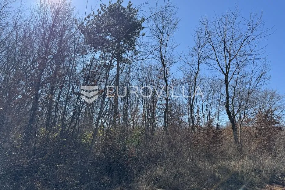 istra, barban, građevinsko i poljoprivredno zemljište 3260m2 u mirnom djelu - slika 4