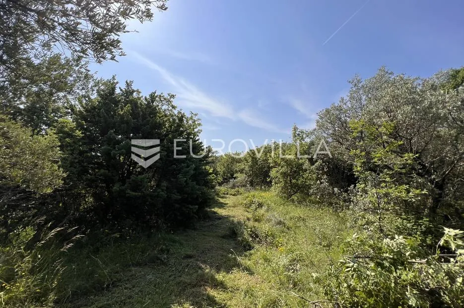istra, šegotići, poljoprivredno zemljište, 3057m2 - slika 12