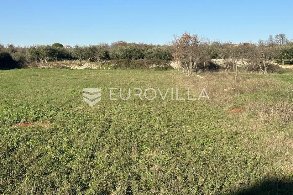 istra, šišan, građevinsko zemljište idealnih dimenzija - 500 m2 - slika 2