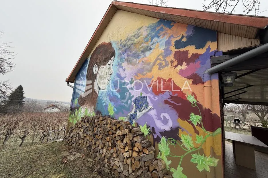 mandićevac, vikendica 66 m² s vinogradom, izvrsna investicija - slika 2