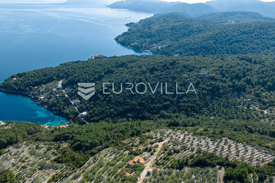 otok korčula, blato, poljoprivredno zemljište s dvije ruševne kamene kućice. - slika 2