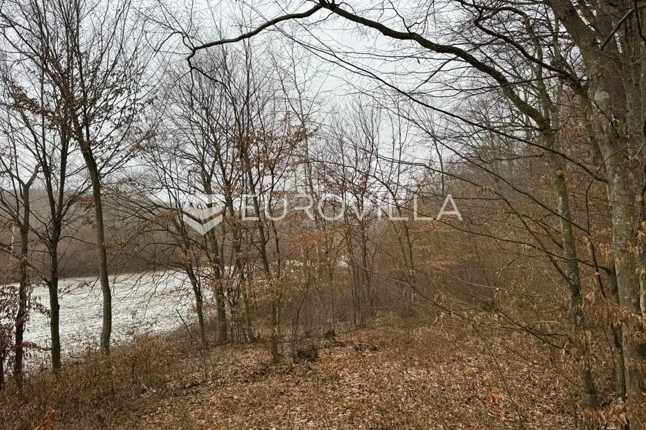 levanjska varoš, šume i zemljišta, ukupno cca 60 ha - slika 4