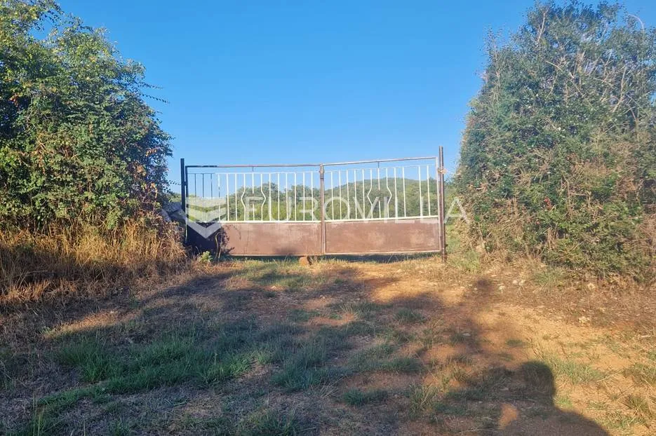 poljoprivredno zemljište, rovinjsko selo 8050m2 - slika 2