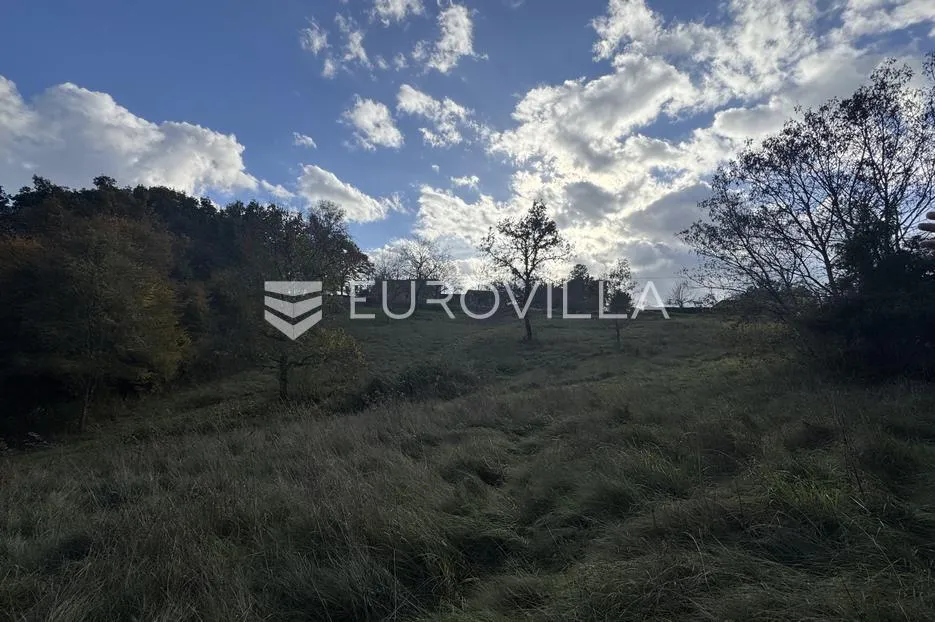 istra, heki, građevinsko zemljište 5999 m² u centru istre - slika 7