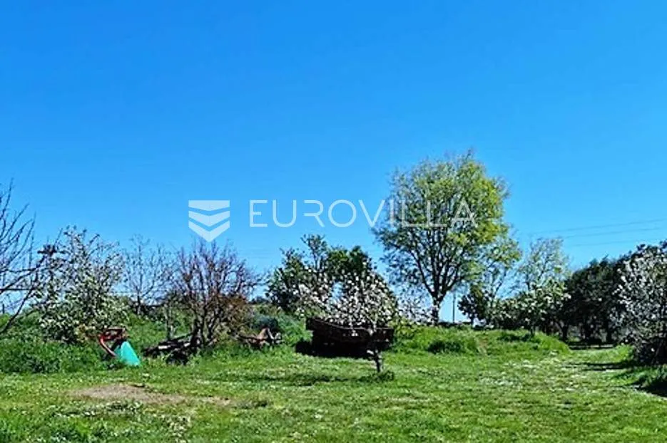 pula, kuća na imanju od 4500 m2 s bazenom, konobom u istarskom stilu, vinskim podrumom, apartmanom - slika 7