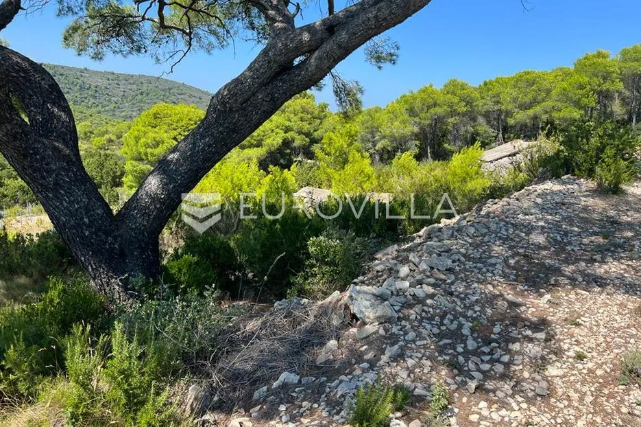 vis, kulor/smokova, atraktivno zemljište površine 13698 m2 sa pogledom na more - slika 9