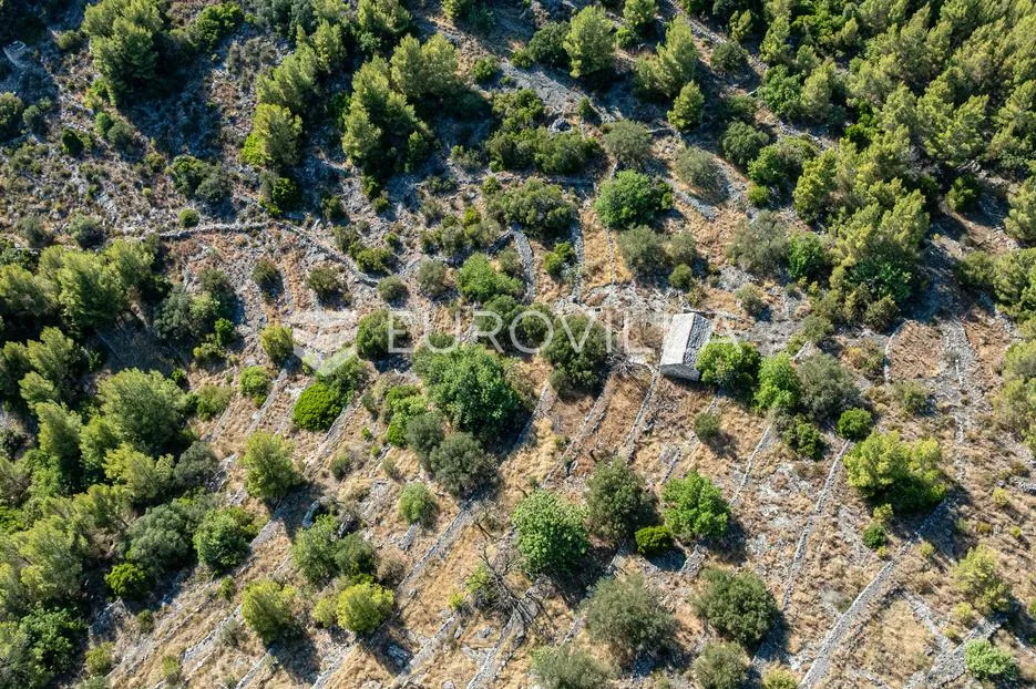otok korčula, blato, uvala grčćica, poljoprivredno zemljište sa kamenom kućom - slika 7