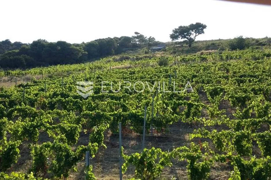 vis, kulor/smokova, atraktivno zemljište površine 23453 m2 sa pogledom na more - slika 7
