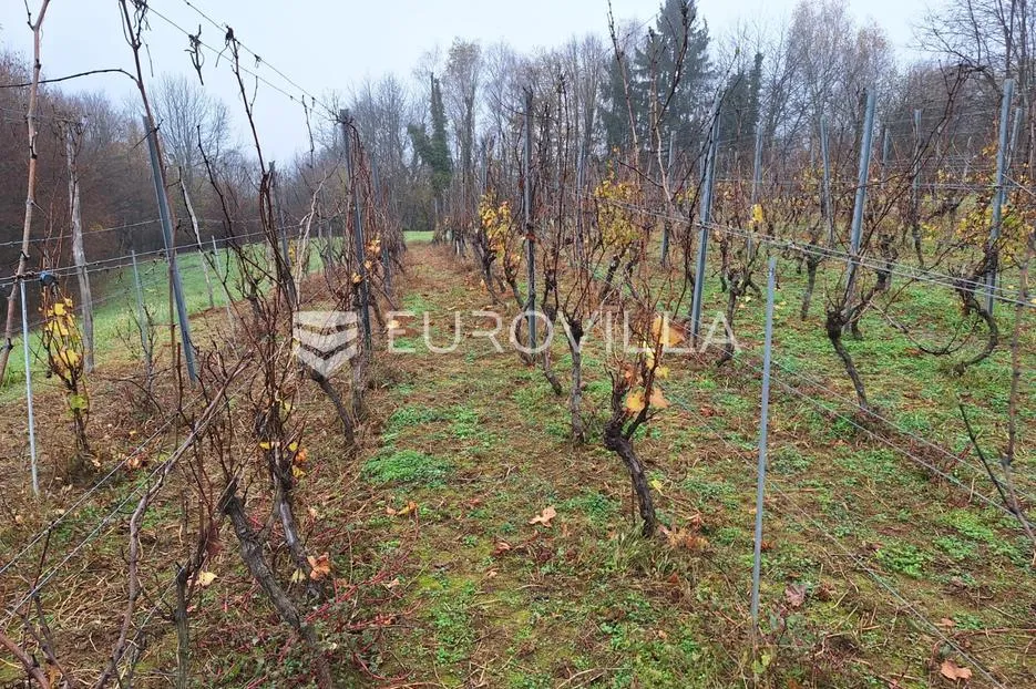 duga resa, galović selo, poljoprivredno zemljište 1400 m2 s vinogradom - slika 2