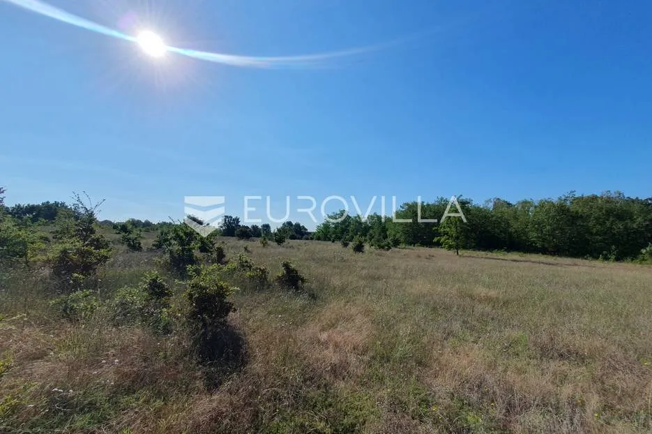 istra, baderna, poljoprivredno zemljište 12.120m2 - slika 15