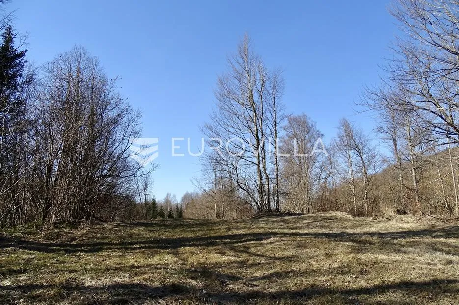 delnice, poljoprivredno zemljište površine 2694 m² - slika 8