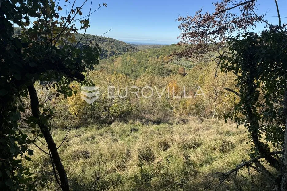 istra, grožnjan, građevinsko zemljište 1529m2 s idejnim projektom za gradnju vile s infinity bazenom - slika 12