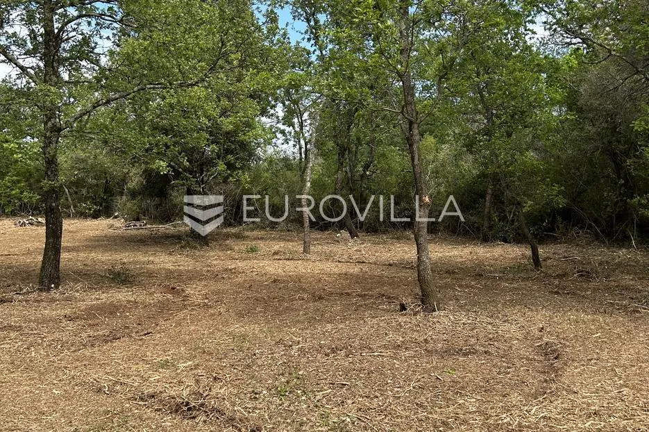istra, peroj, atraktivno poljoprivredno zemljište u blizini uvale portić - slika 5