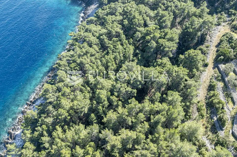 korčula, vela luka, poljoprivredno zemljište uz more - slika 6